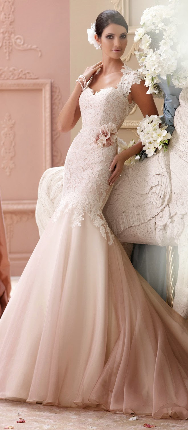 Mon Cheri Wedding Dresses
 David Tutera for Mon Cheri Spring 2015 Bridal Collection