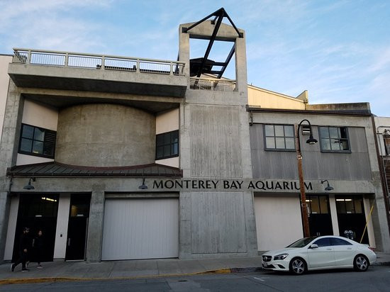 Monterey Bay Aquarium Thanksgiving
 30 Best Monterey Bay Aquarium Thanksgiving Hours Home
