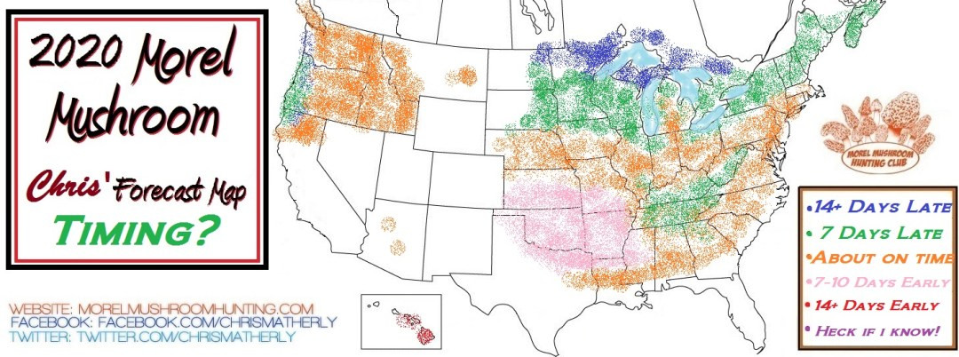 Morel Mushrooms Season Michigan
 2020 Morel Mushroom Season Forecast by Chris Matherly