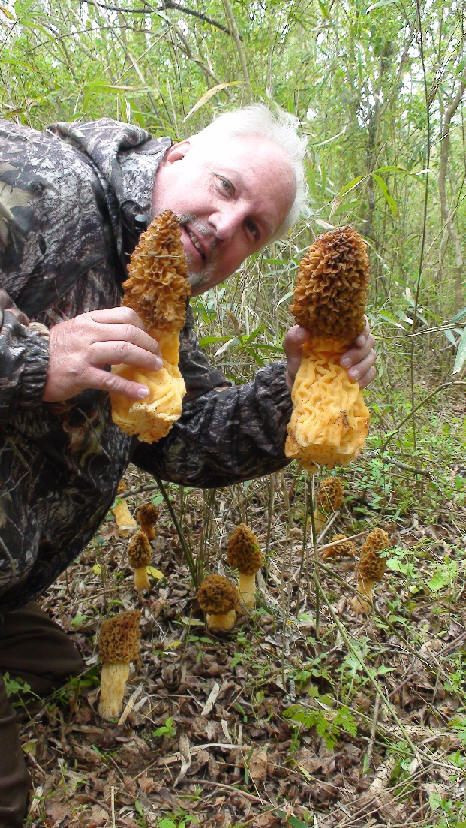 Morel Mushrooms Season Michigan
 The top 30 Ideas About Morel Mushrooms Season Illinois