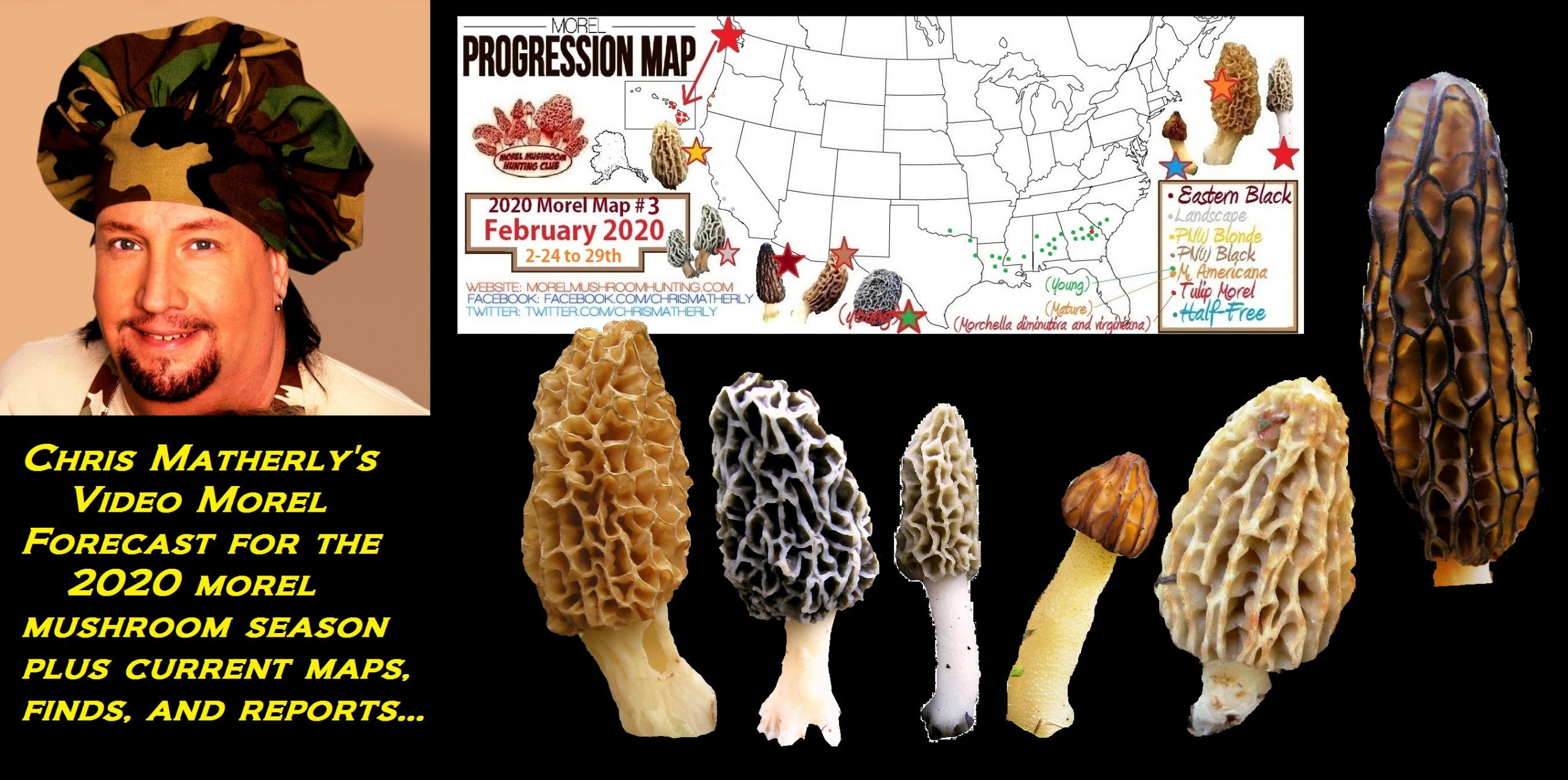 Morel Mushrooms Season Michigan
 2020 Morel Mushroom Season Forecast by Chris Matherly