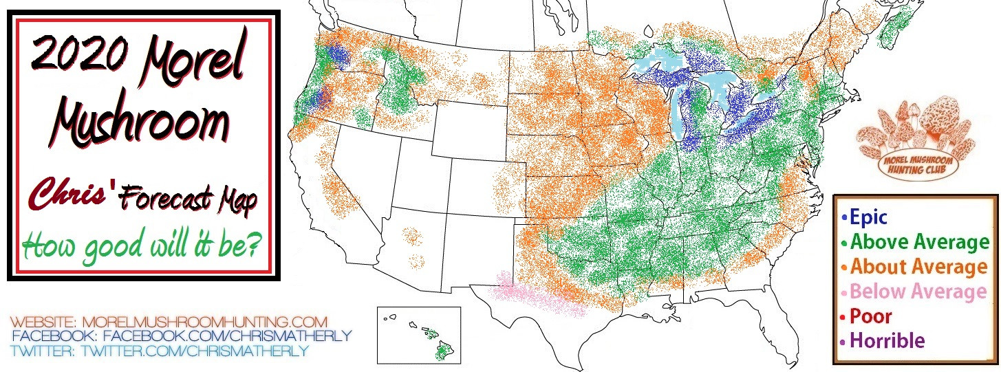 Morel Mushrooms Season Michigan
 2020 Morel Mushroom Season Forecast by Chris Matherly