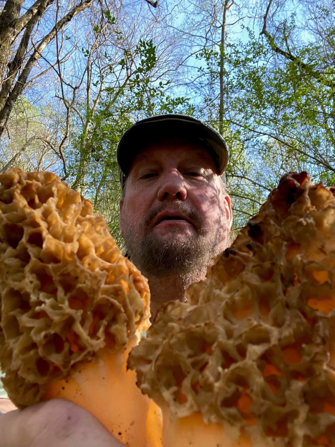 Morel Mushrooms Season Michigan
 Chris discusses the 2020 morel mushroom season The