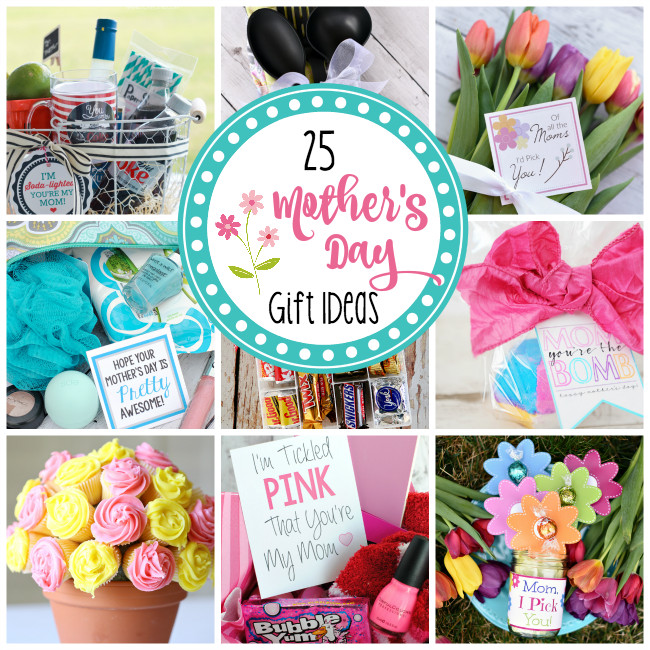 Mother'S Day Gift Ideas For Mother In Law
 25 Cute Mother s Day Gifts – Fun Squared