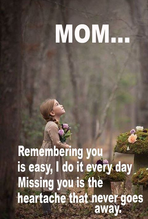 Mothers Day Quote For Deceased Mother
 75 Memorial Quotes For Mom in her Remembrance