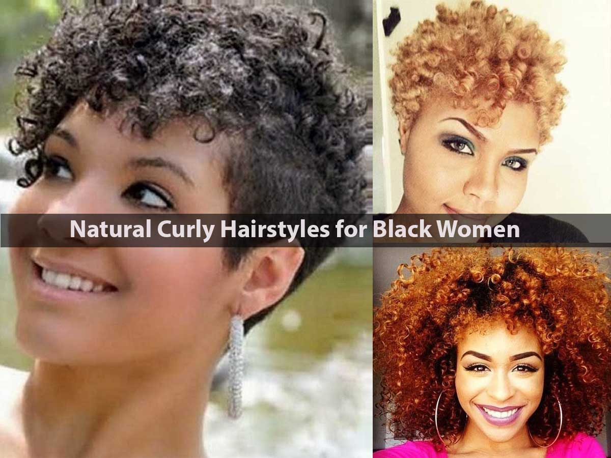 Natural Black Curly Hairstyles
 Natural Curly Hairstyles for Black Women Hairstyle For Women
