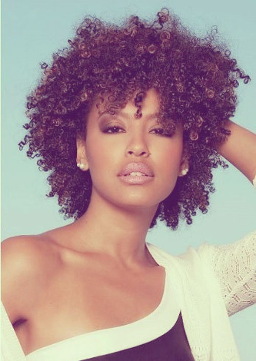 Natural Black Women Hairstyles
 African American Hairstyles Trends and Ideas Hairstyles