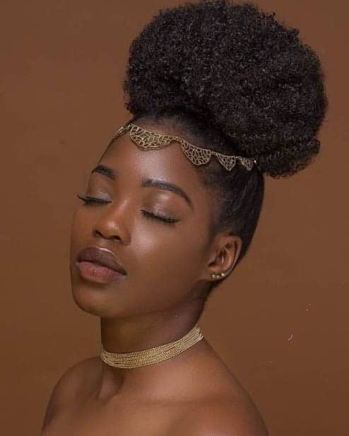 Natural Hairstyles Updo
 37 Gorgeous Natural Hairstyles For Black Women Quick