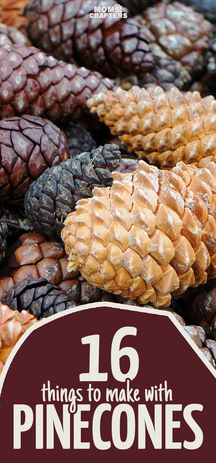 Nature Activities For Adults
 16 Perfect Pine Cone Crafts