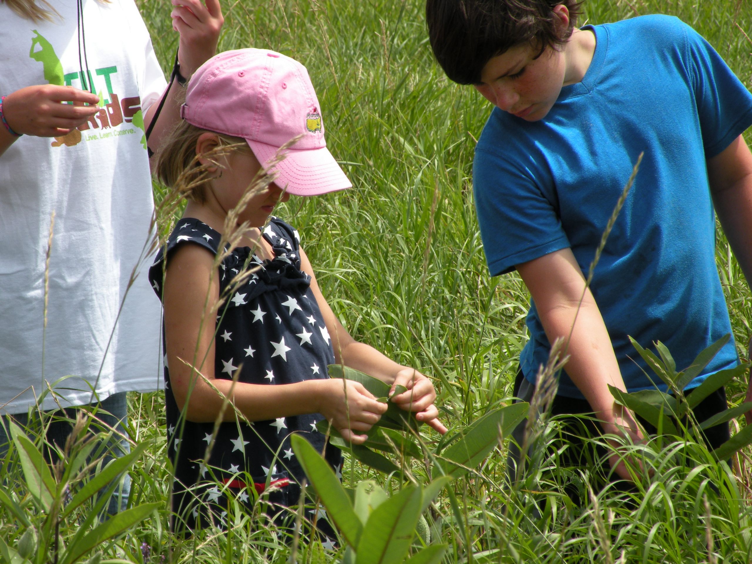 Nature Activities For Adults
 Get Out side THE WONDER BOWL – Ten Spring and Summer