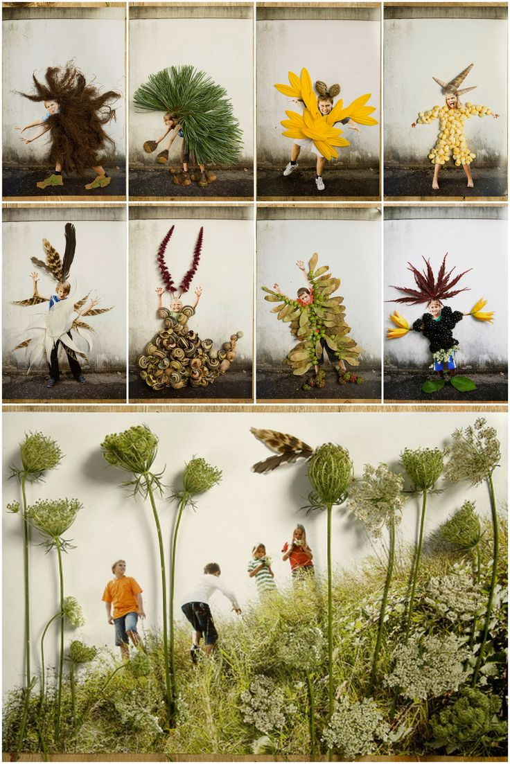 Nature Activities For Adults
 17 Best images about Nature Crafts for Adults on Pinterest