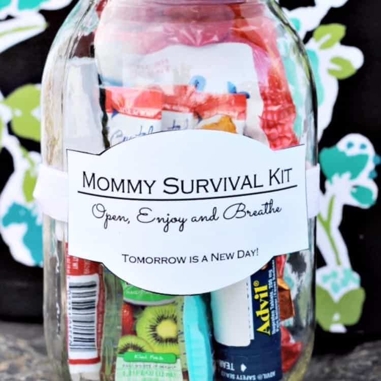 New Mommy Gift Basket Ideas
 10 Great DIY New Mom Gift Basket Ideas Meaningful Gifts