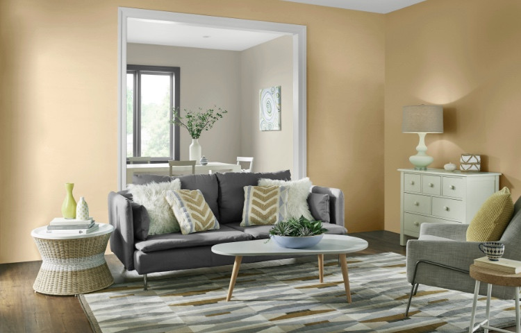 Nice Color For Living Room
 Living Room Paint Colors The Home Depot