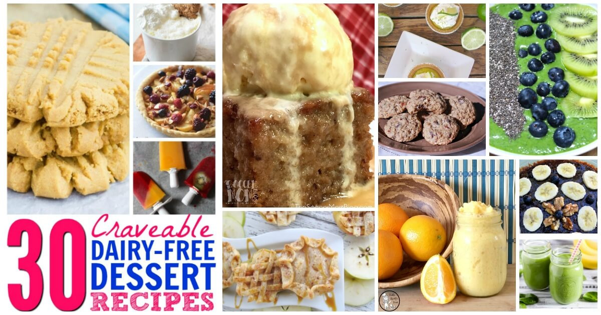 Non Dairy Dessert
 30 Delicious Non Dairy Desserts The Soccer Mom Blog