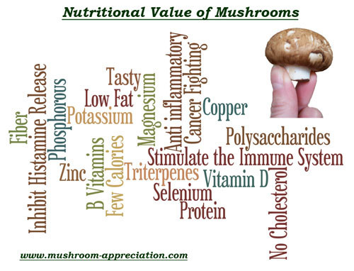 Nutritional Value Of Shiitake Mushrooms
 The top 30 Ideas About Shiitake Mushrooms Nutritional