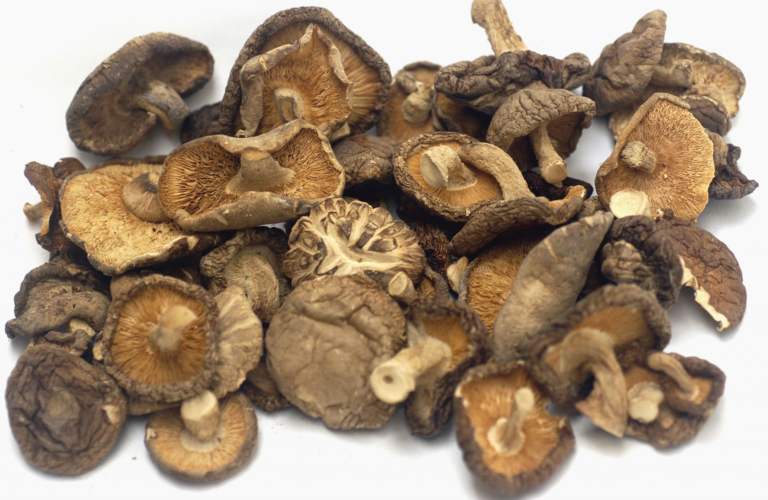 Nutritional Value Of Shiitake Mushrooms
 The top 30 Ideas About Shiitake Mushrooms Nutritional