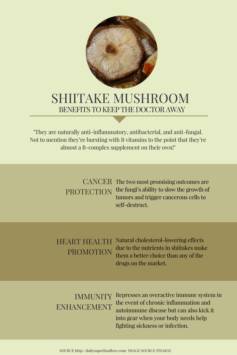 Nutritional Value Of Shiitake Mushrooms
 Nutritional Content and Health Benefits of Shiitake
