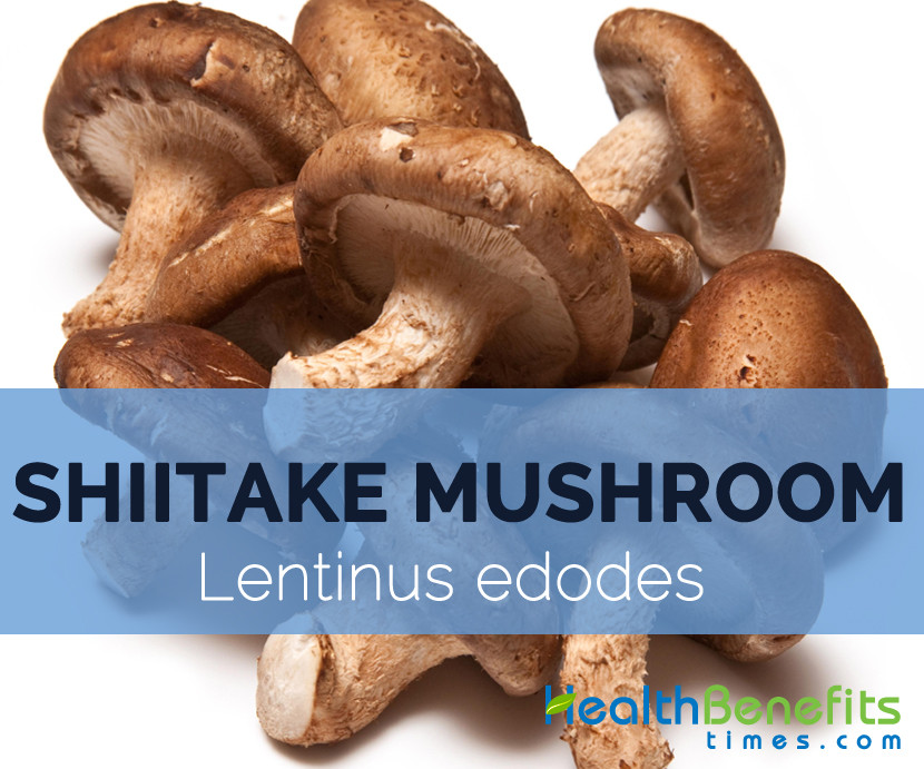 Nutritional Value Of Shiitake Mushrooms
 Shiitake mushroom Fact Health Benefits & Nutritional Value