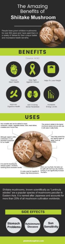 Nutritional Value Of Shiitake Mushrooms
 What Are The Health Benefits Shiitake Mushroom