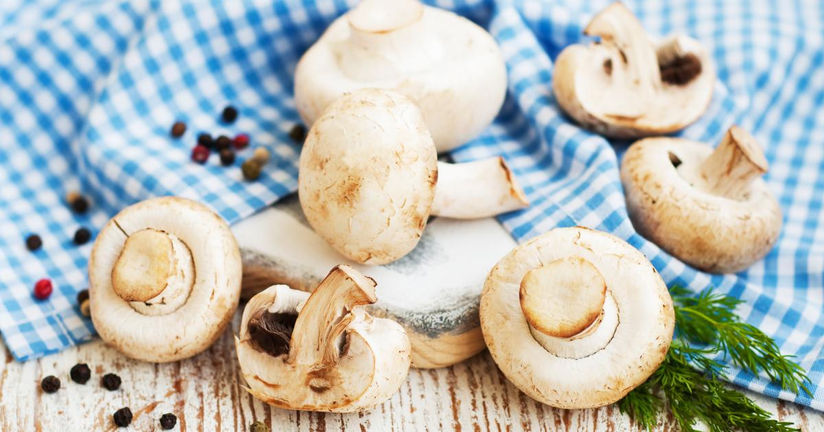 Nutritional Value Of Shiitake Mushrooms
 Shiitake Mushrooms cooked Calories & Nutrition Facts YAZIO