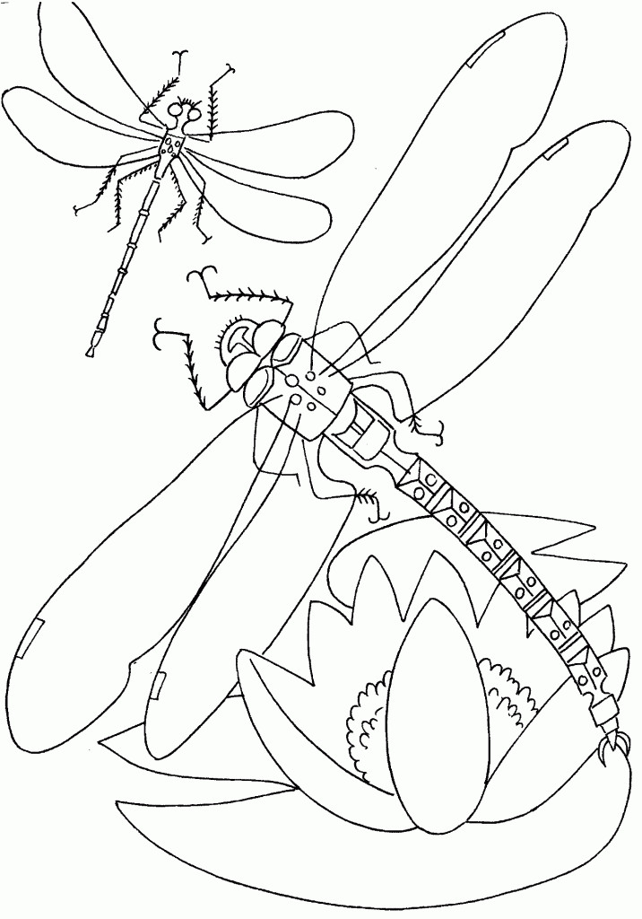 Online Coloring For Kids
 Free Printable Dragonfly Coloring Pages For Kids