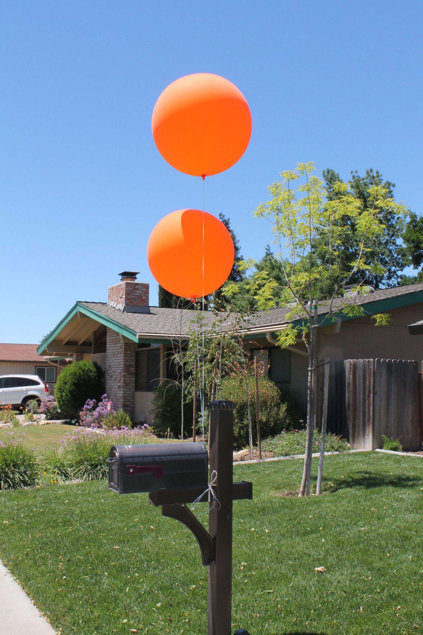 Orange And Black Graduation Party Ideas
 Orange and Black Graduation Party