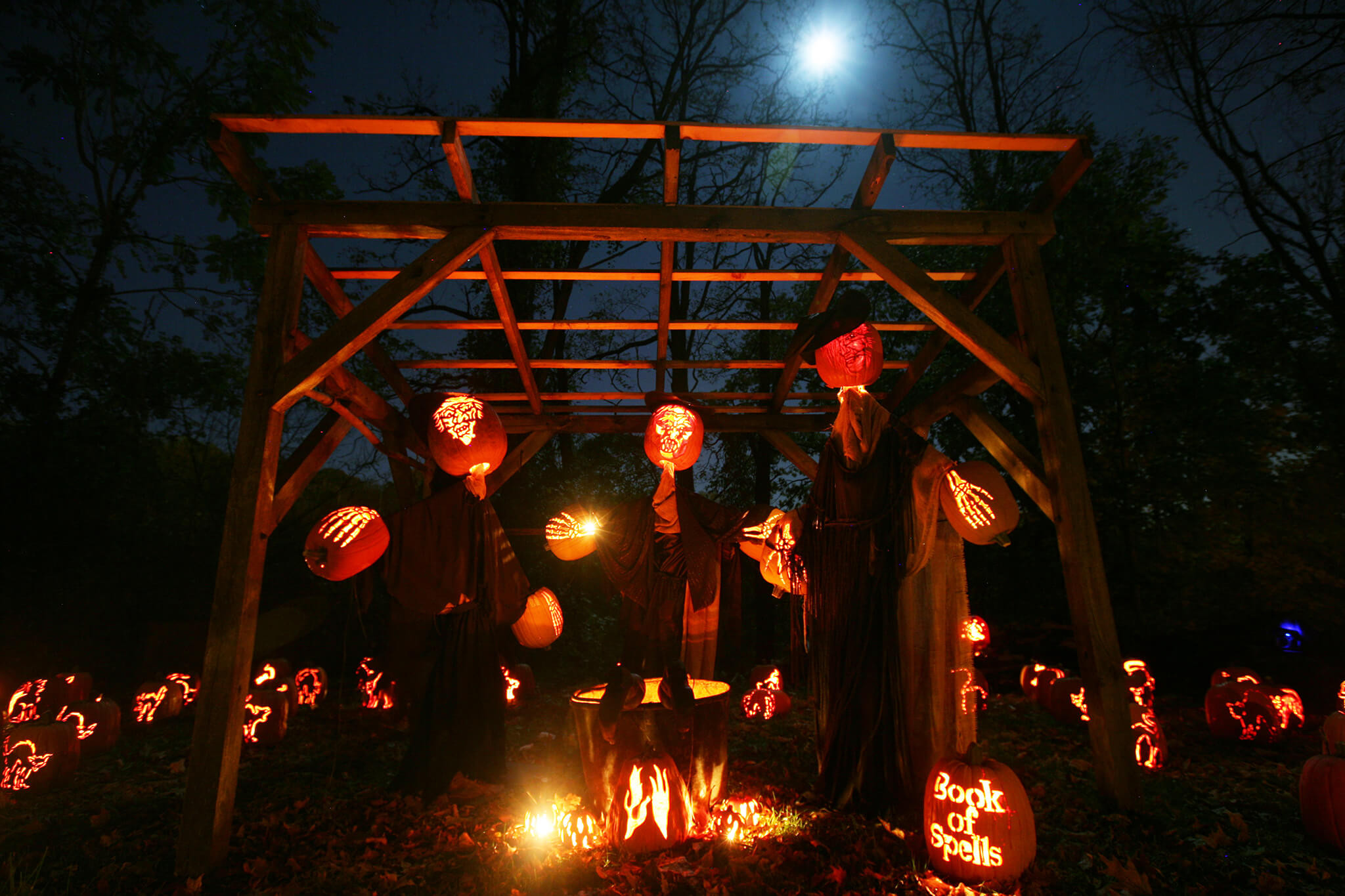 30 Trendy Outdoor Halloween Lights – Home, Family, Style and Art Ideas
