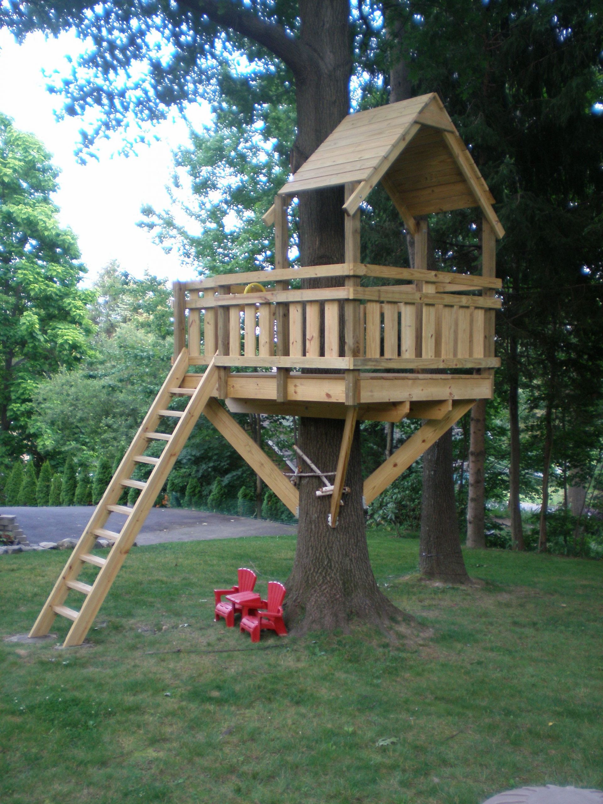 Outdoor Kids Gate
 Tree Fort Ladder Gate Roof [Finale]