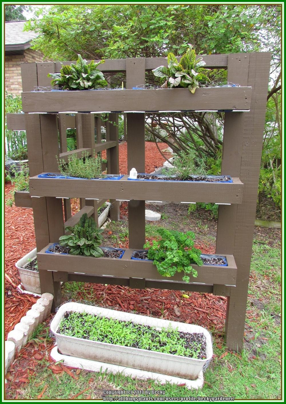 Outdoor Landscape Backyard
 Vertical Herb Garden Garden