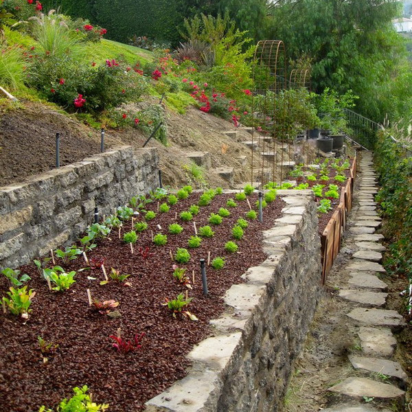 Outdoor Landscape Hill
 Gardening on a hill bank & steep slope