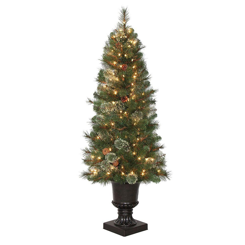 Outdoor Pre Lit Christmas Tree
 4 5 ft Pre Lit LED Alexander Pine Artificial Christmas