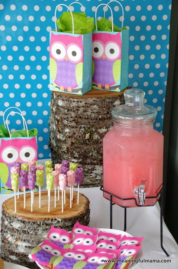 Owl Birthday Decorations
 Owl Party Ideas
