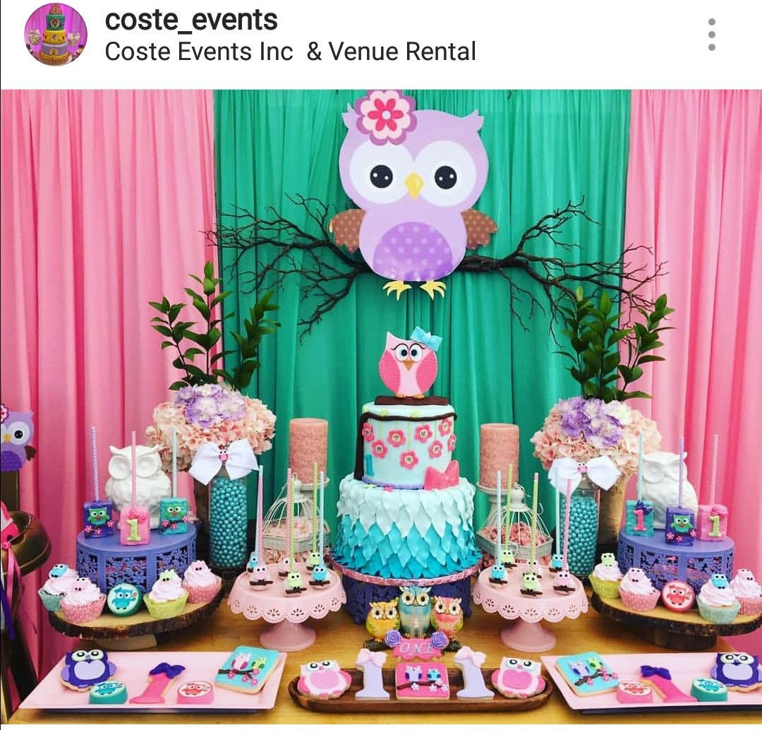 Owl Birthday Decorations
 Owl Theme Birthday Party Dessert Table and Decor