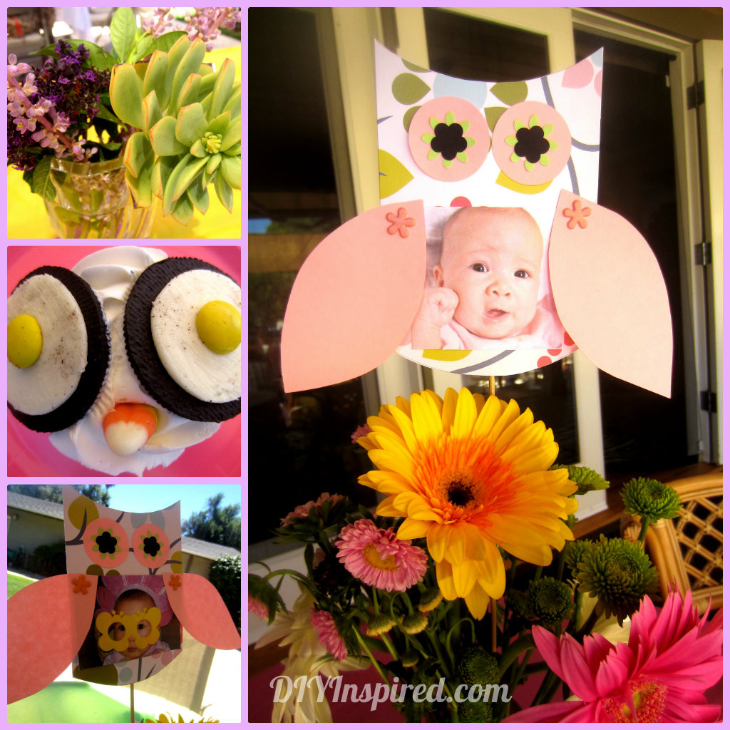 Owl First Birthday Decorations
 Owl Themed First Birthday DIY Inspired