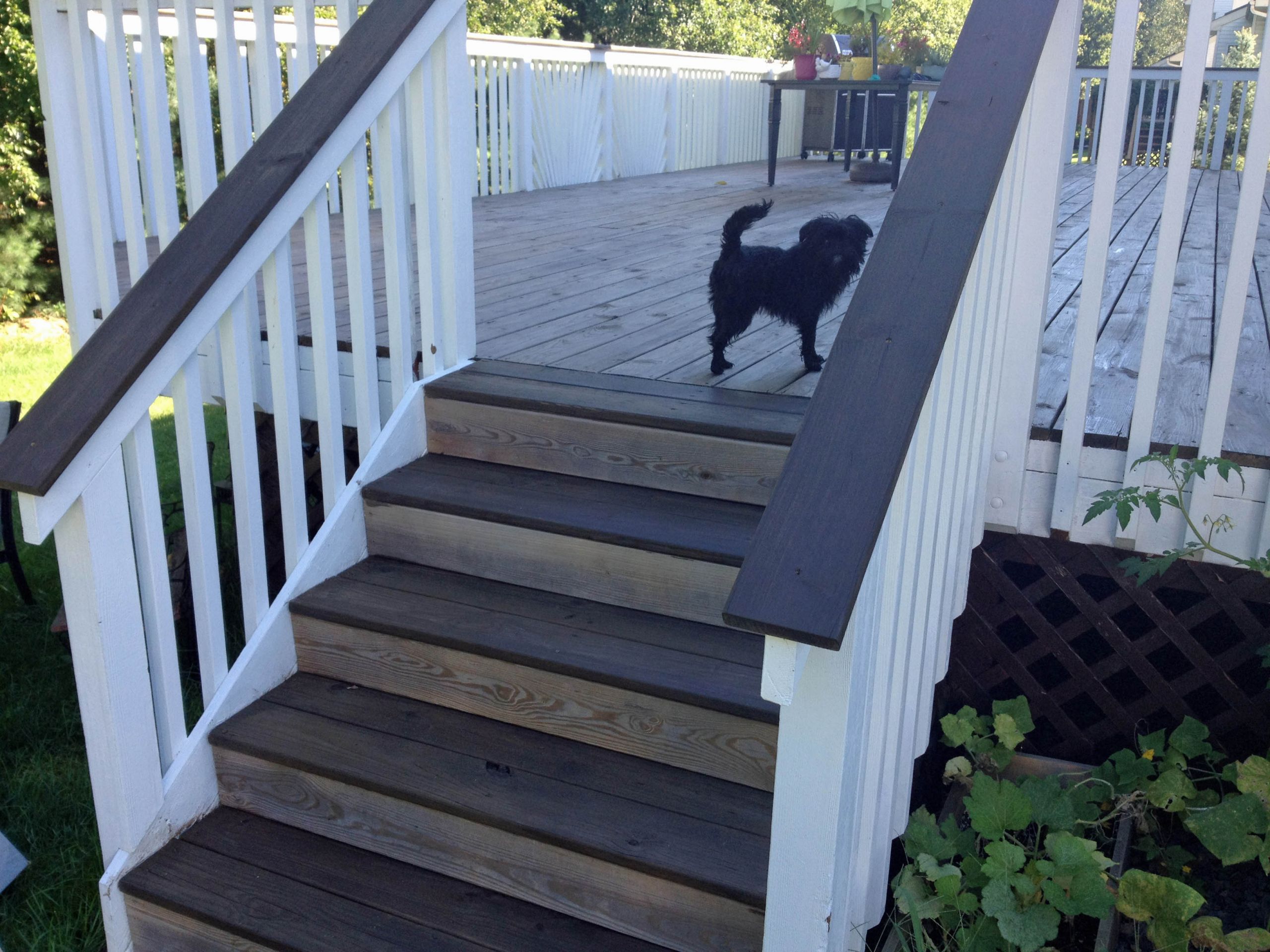 Paint Deck Railing White
 stain