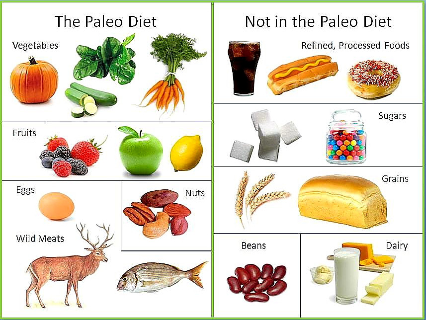 Paleo Diet Fruits
 Does Paleo for PCOS Work