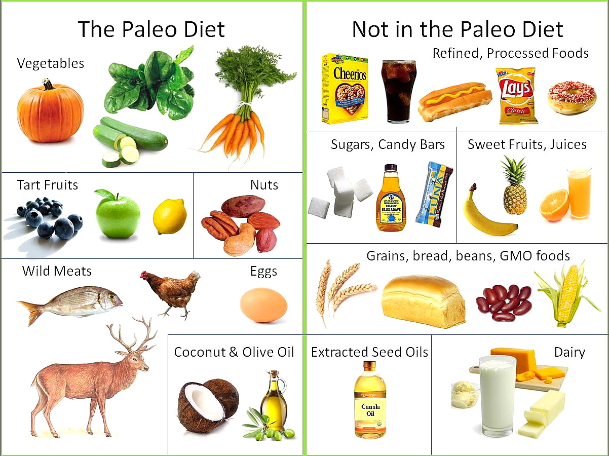 Paleo Diet Fruits
 line Paleo Nutritionist Diploma Course