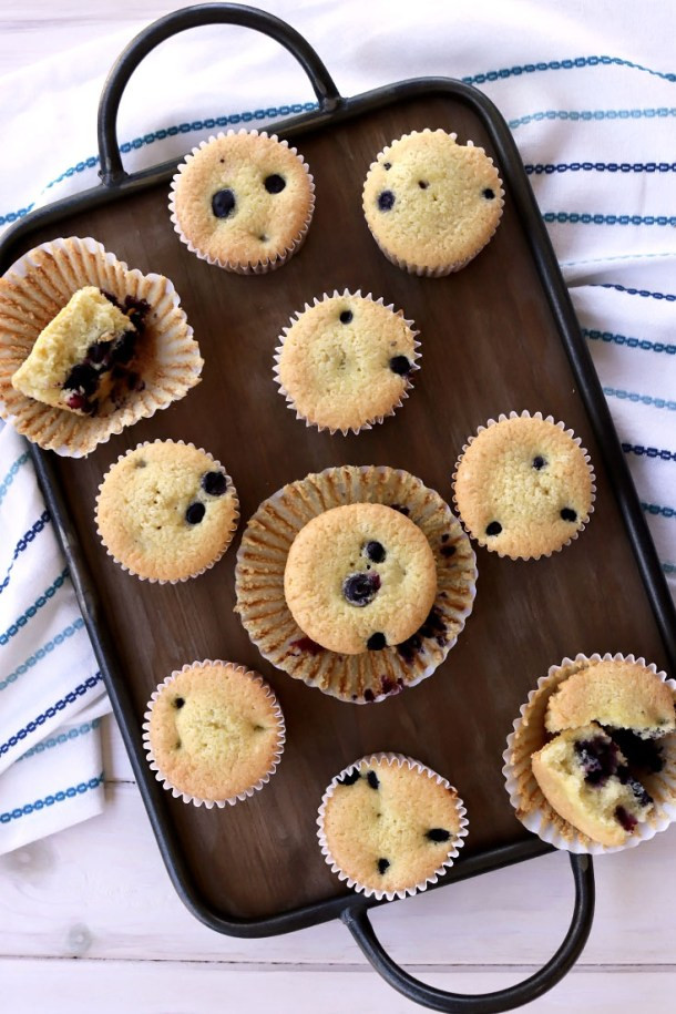 Passover Muffins Recipe
 Passover Blueberry Muffins Gluten Dairy Free It s