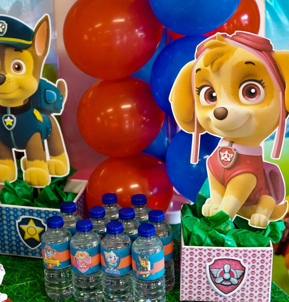 Paw Patrol Decorations DIY
 DIY Paw Patrol Party Decoration Centerpieces