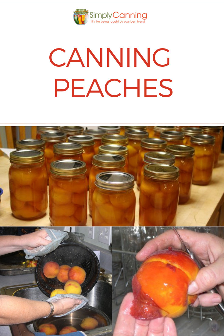 Peach Canning Recipes
 Canning peaches is easy to learn and makes the house smell