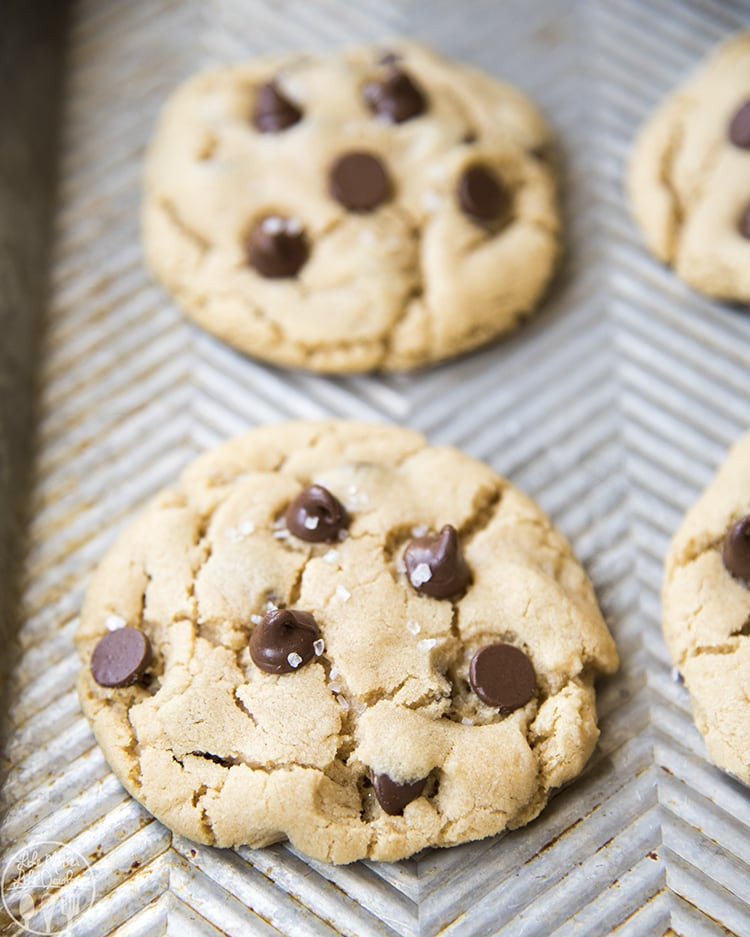 Peanut Butter Cookies For Two
 Peanut Butter Chocolate Chip Cookies for 2 Like Mother