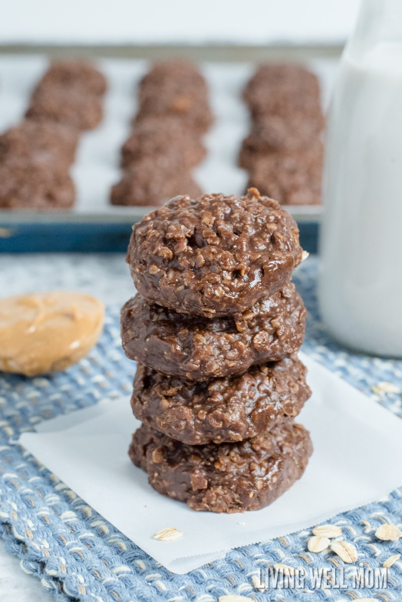 Peanut Butter Cookies No Butter
 Dairy Free No Bake Chocolate Peanut Butter Cookies