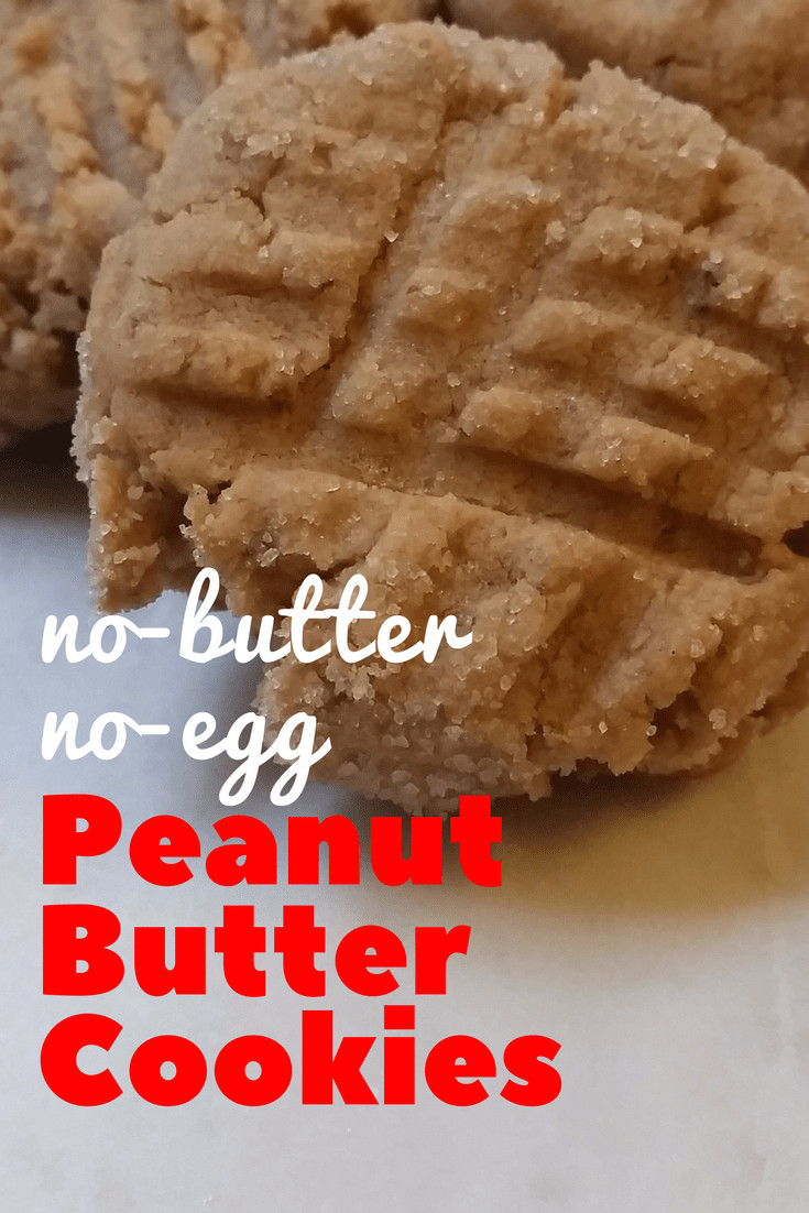 Peanut Butter Cookies No Butter
 Perfect No Butter No Egg Peanut Butter Cookies
