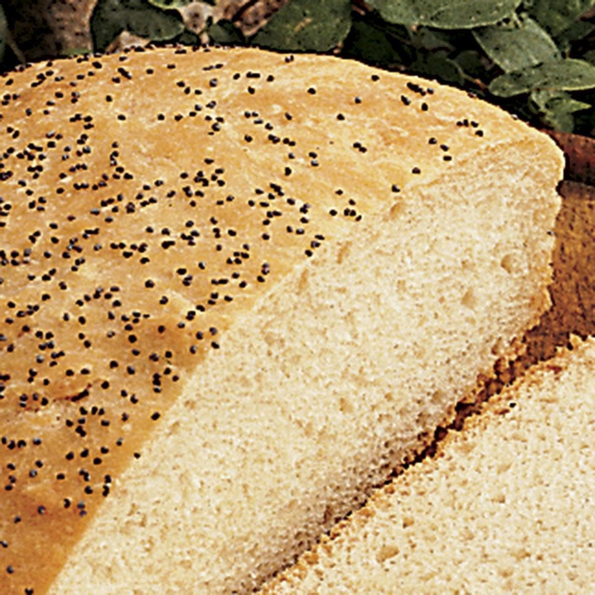 Peasant Bread Recipe
 Peasant Bread Recipe