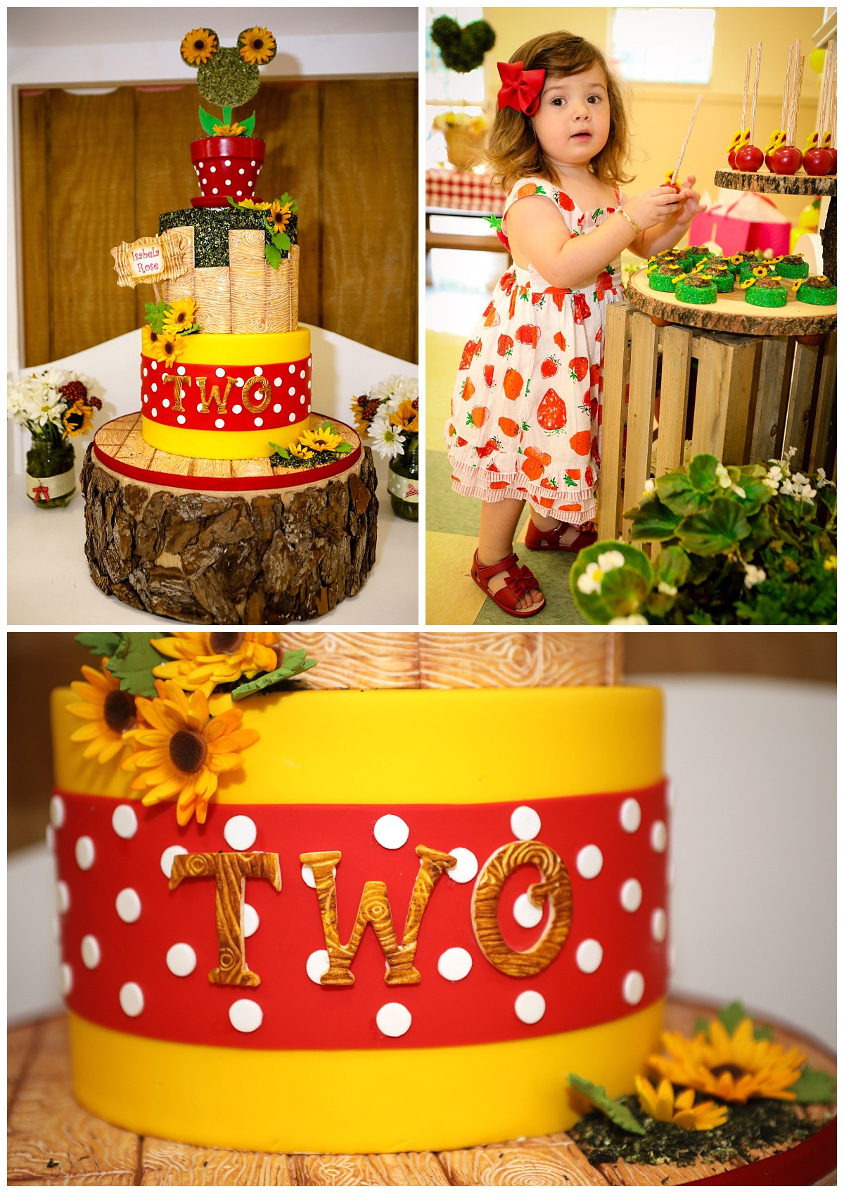 Personalized Birthday Cakes
 Isabela s 2nd Birthday Cake