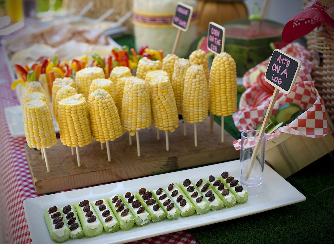 Picnic Birthday Party Food Ideas
 a party style picnic party