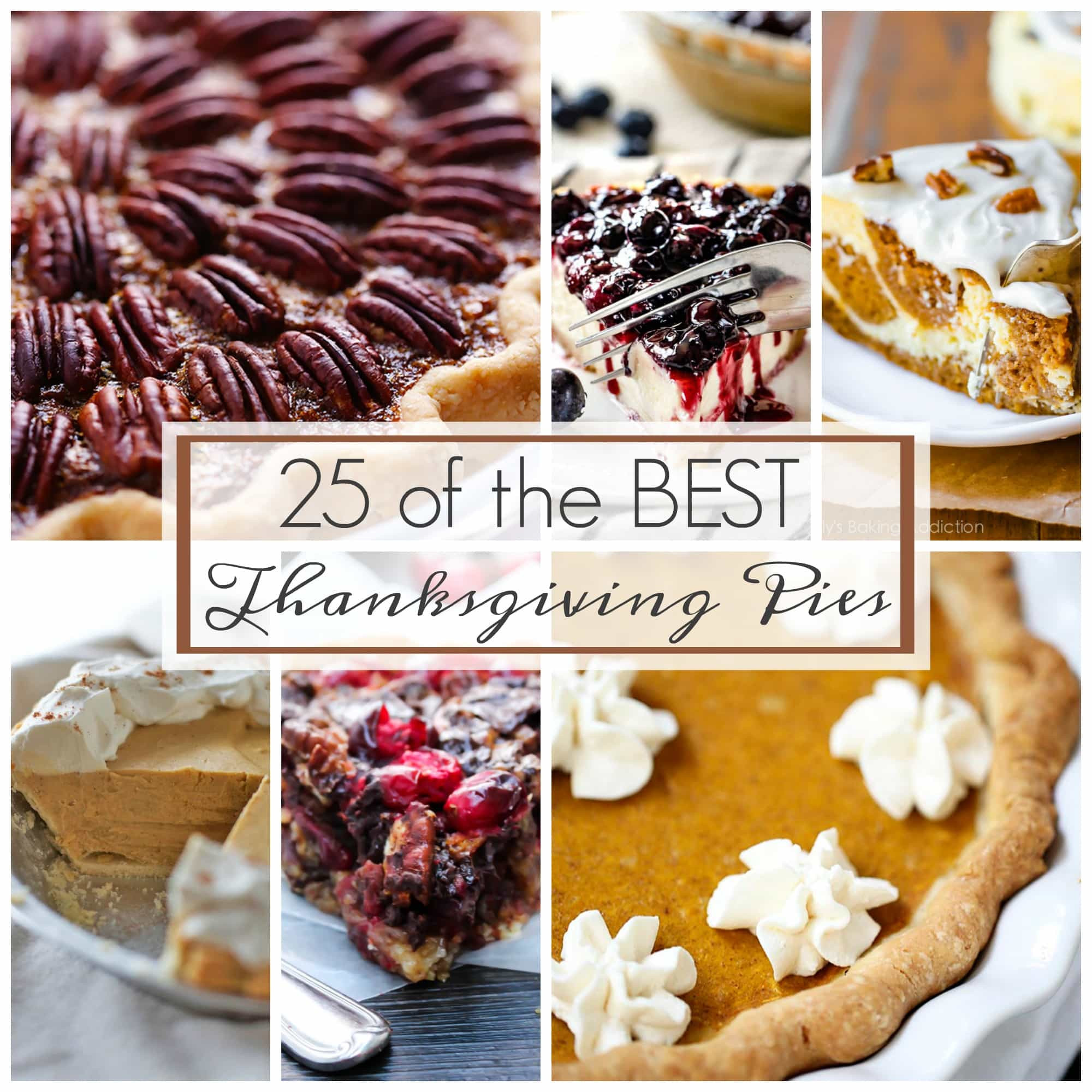 Pies For Thanksgiving
 25 of the Best Thanksgiving Pies A Dash of Sanity
