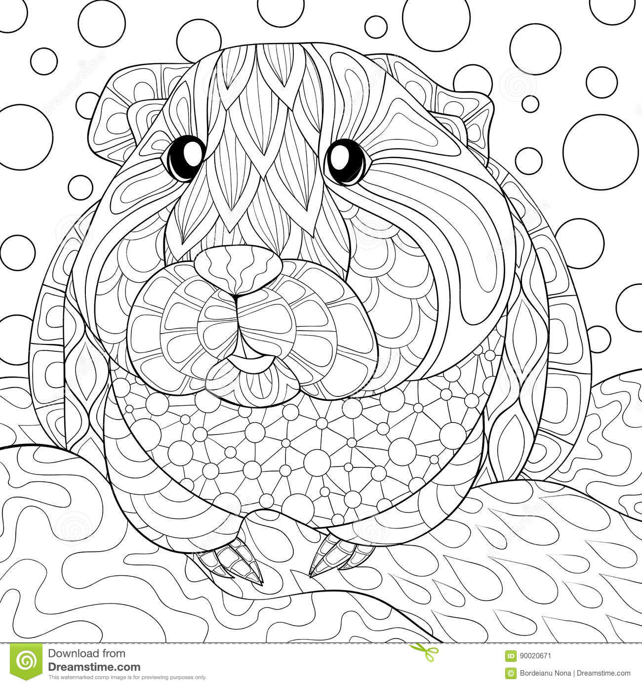 Pig Coloring Pages For Adults
 Adult Coloring Page Guinea Pig Stock Vector Illustration