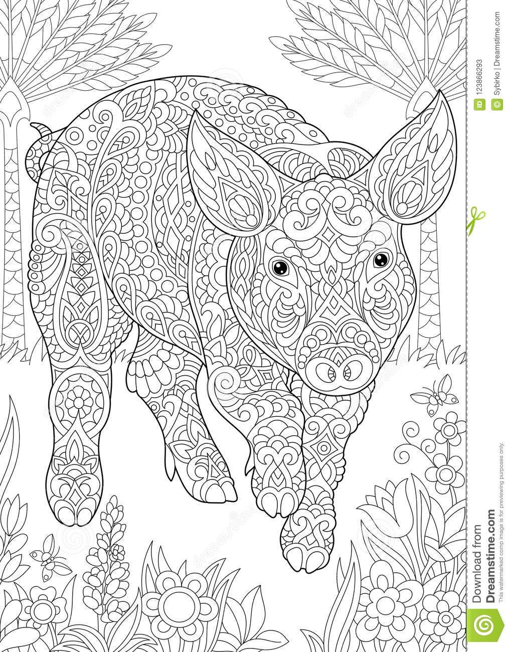 Pig Coloring Pages For Adults
 Zentangle pig piggy hog stock vector Illustration of