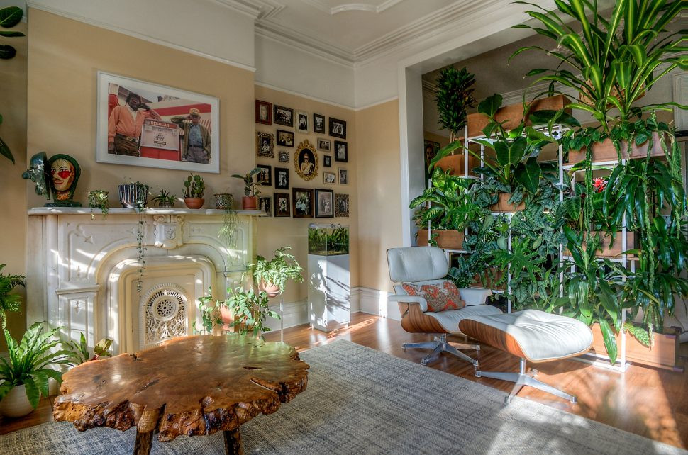 Plants In Living Room Ideas
 10 Excellent Ideas To Display Living Room Indoor Plants